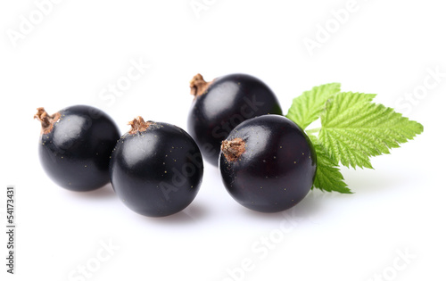 Blackcurrant with leaf