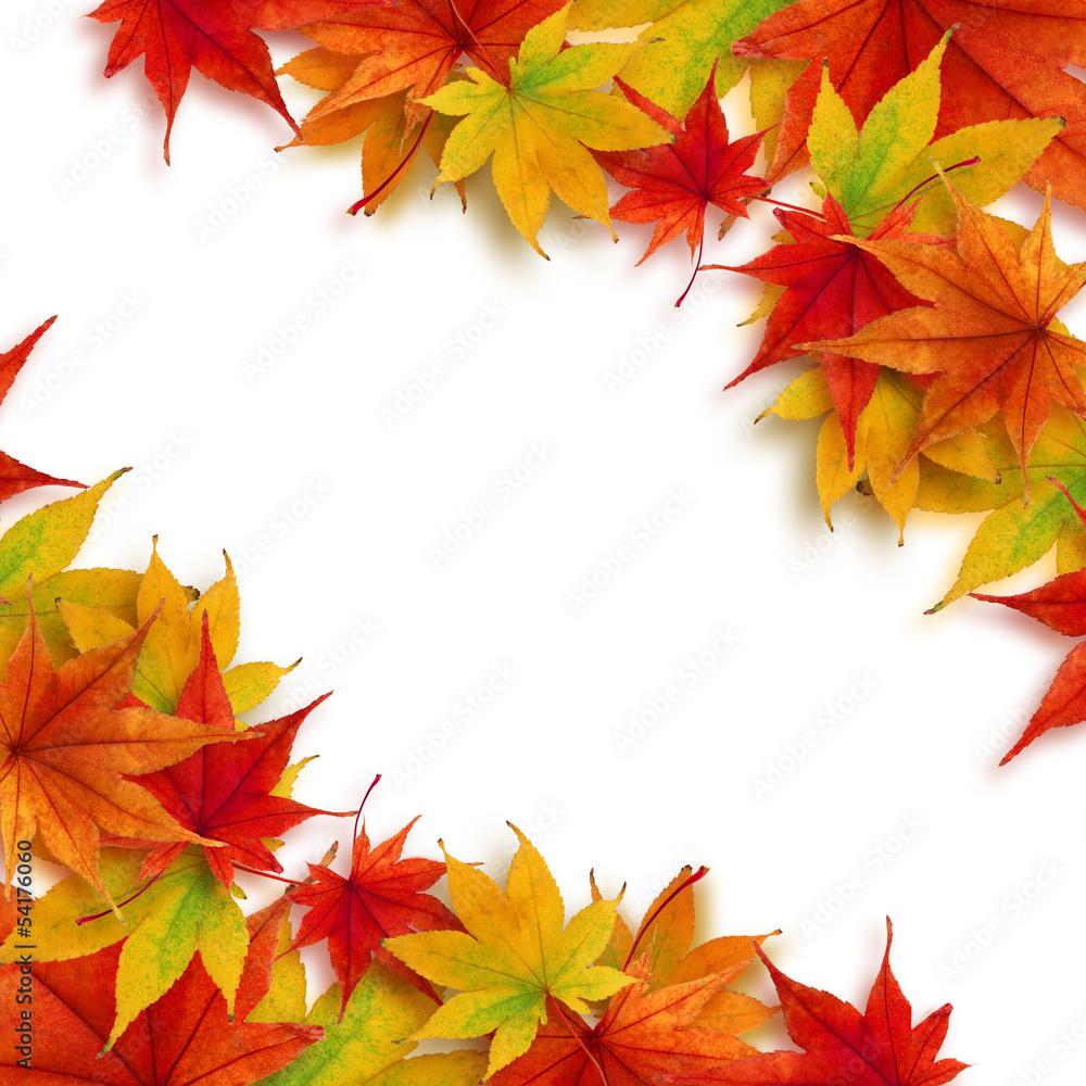 Fototapeta premium 紅葉 もみじ 秋 フレーム