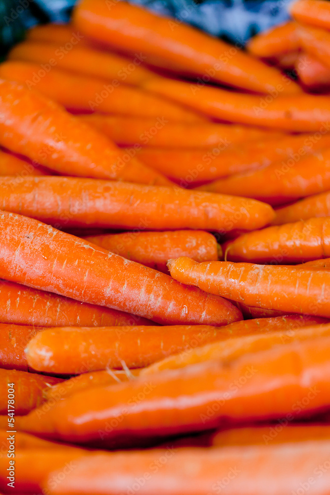 frische knackige karotten möhren nahaufnahme