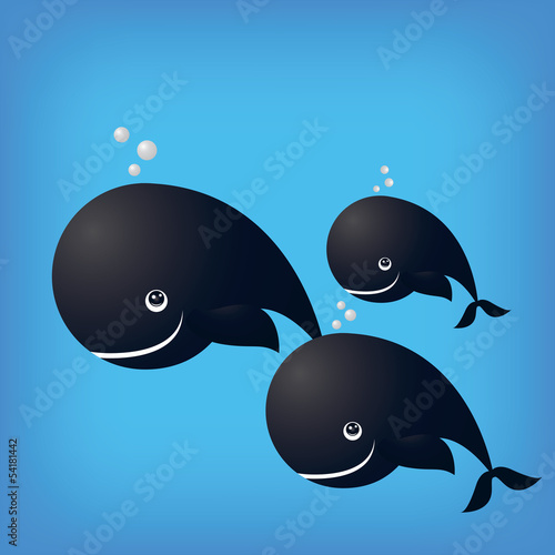 masses whale ocean fish