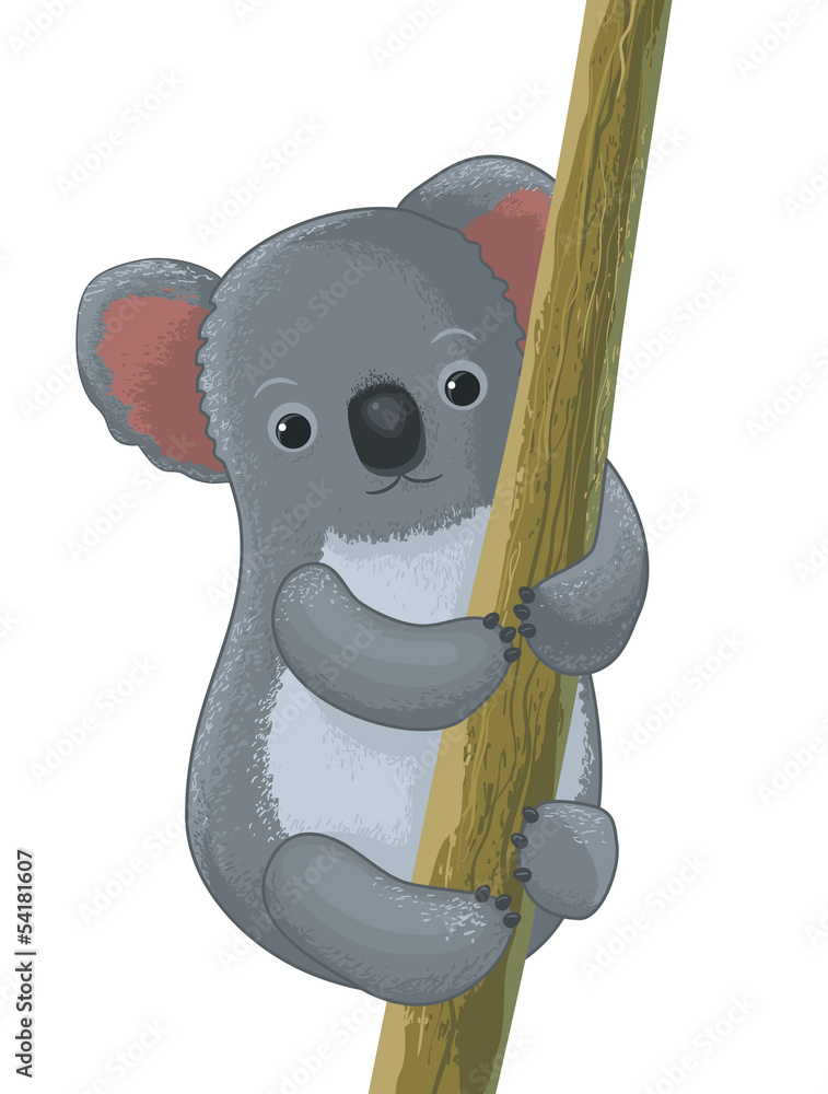 Fototapeta premium koala cartoon character