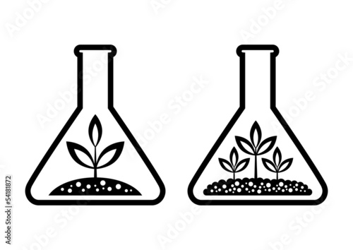 Plant in laboratory glass