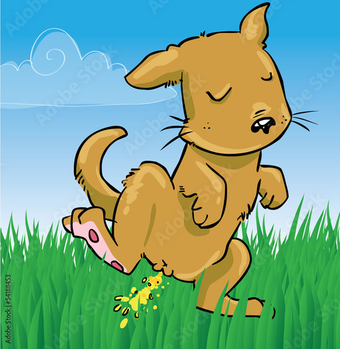 Doggy peeing on grass