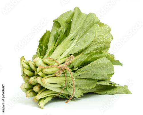 A bunch of Chinese cabbage isolated on white background