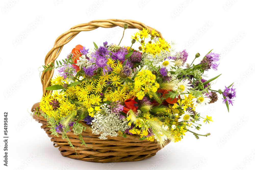 Fototapeta premium wild flowers in a basket