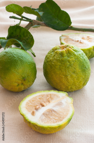 Citrus aurantium  Linn, Sour orange or Bitter orange