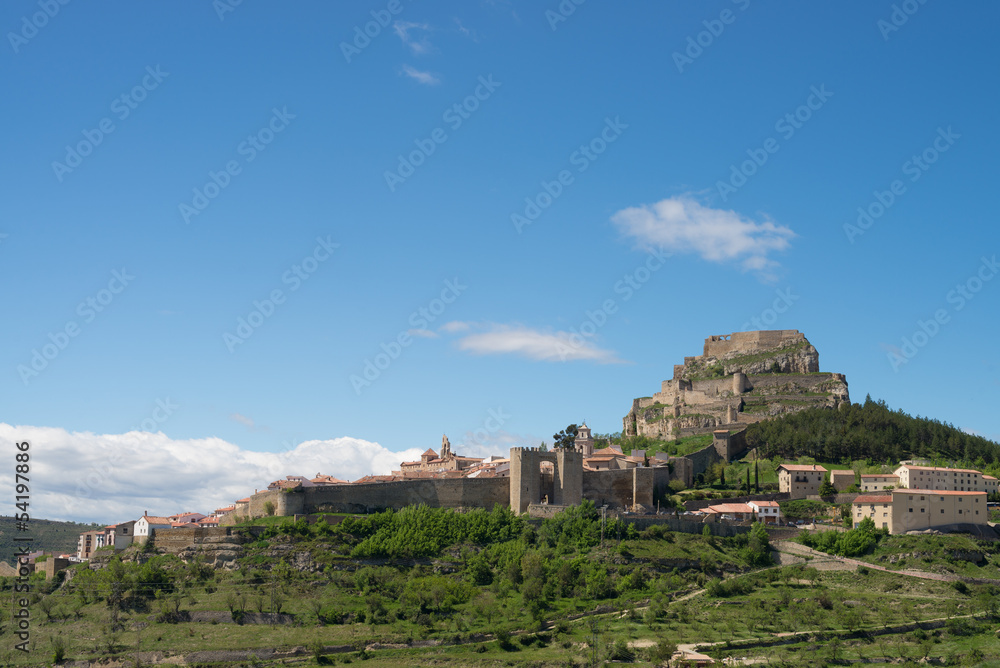 Morella