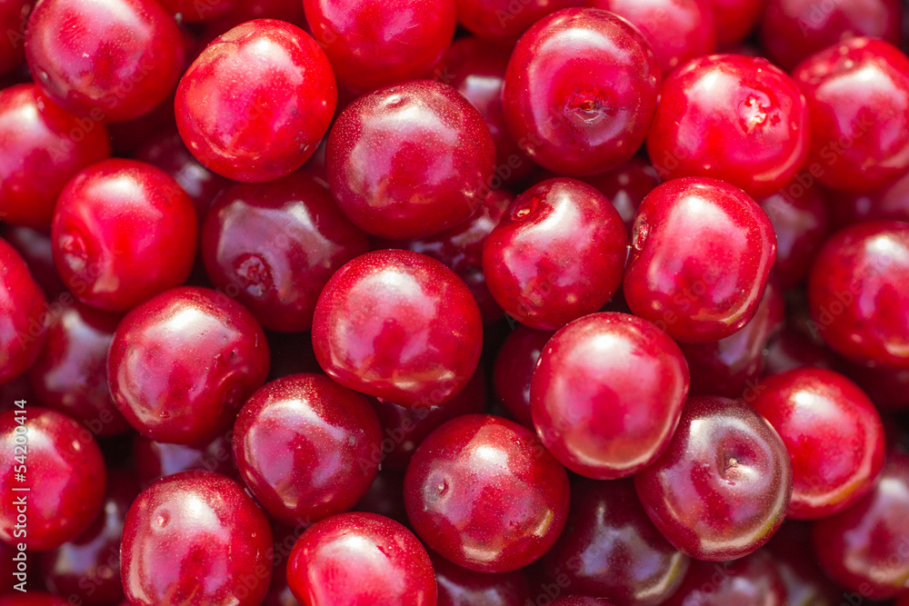 red fresh cherry red fresh cherry