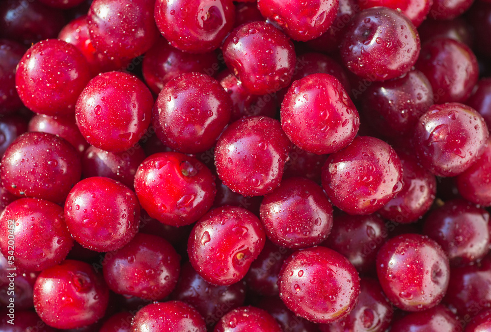 red fresh cherry red fresh cherry