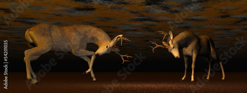 Bucks fighting - 3D render