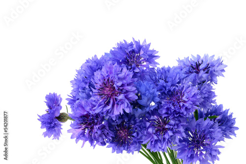 Blue cornflower bouquet