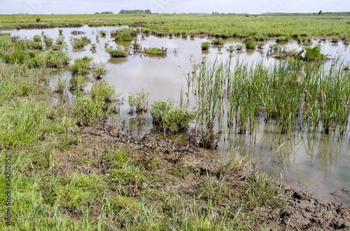 Puddle in the landscape on Tiengemeten,The Netherlands. photo