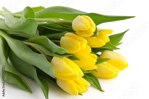 Fototapeta Naklejka Na Ścianę i Meble -  Gelbe Tulpen