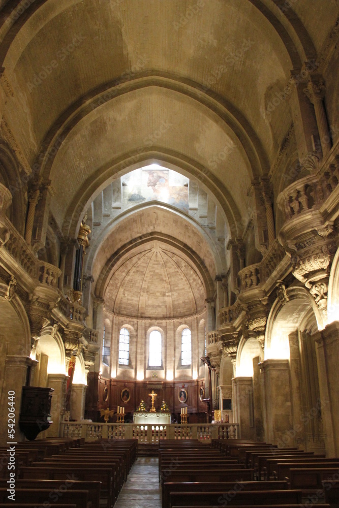 Fototapeta premium Nef de la Cathédrale Notre-Dame des Doms à Avignon, Vaucluse