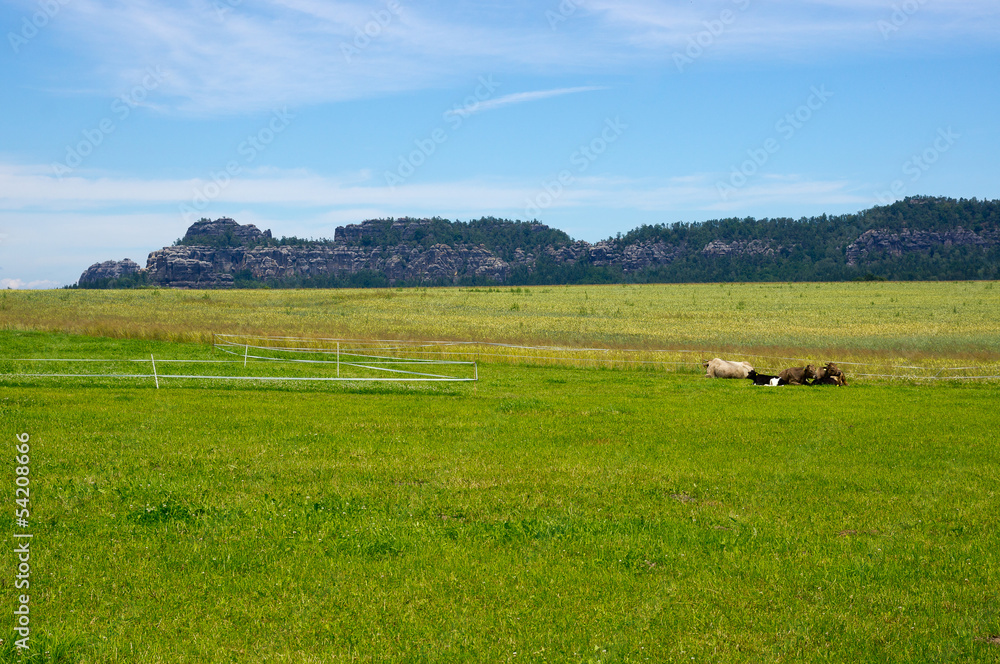 Rural landscape in Saxon Switzerland