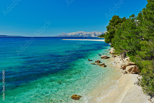 Fototapeta Naklejka Na Ścianę i Meble -  Beautiful Adriatic Sea bay with pines in Croatia