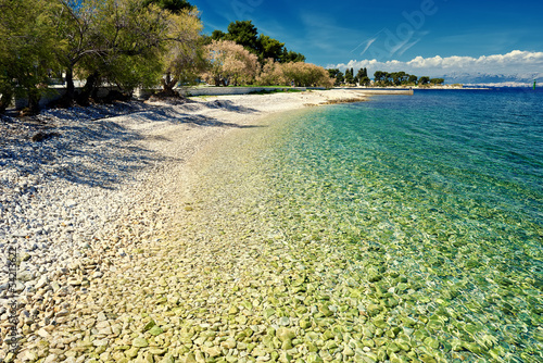 Fototapeta Naklejka Na Ścianę i Meble -  Amazing Adriatic Sea bay with pines and crystal clear water