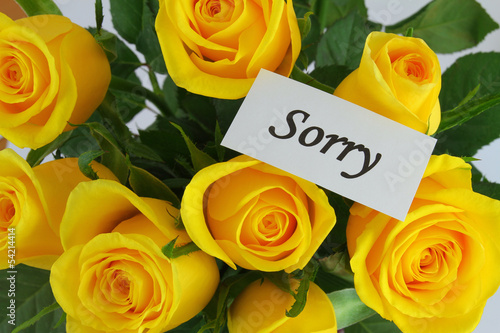 Sorry note and yellow roses