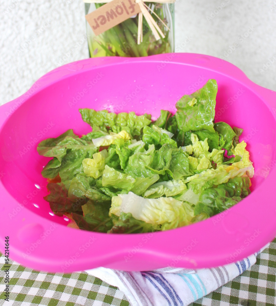frischer Salat frischer Salat