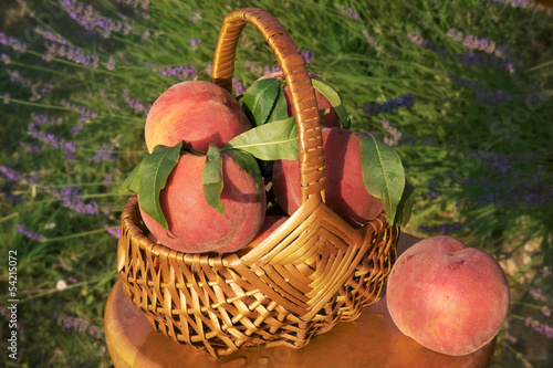 A fruit basket photo