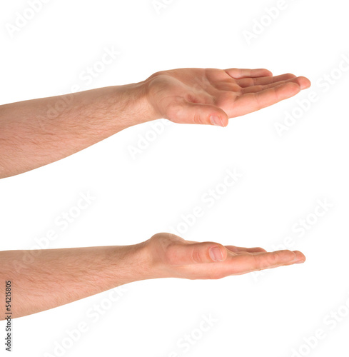 Open palm hand gesture isolated