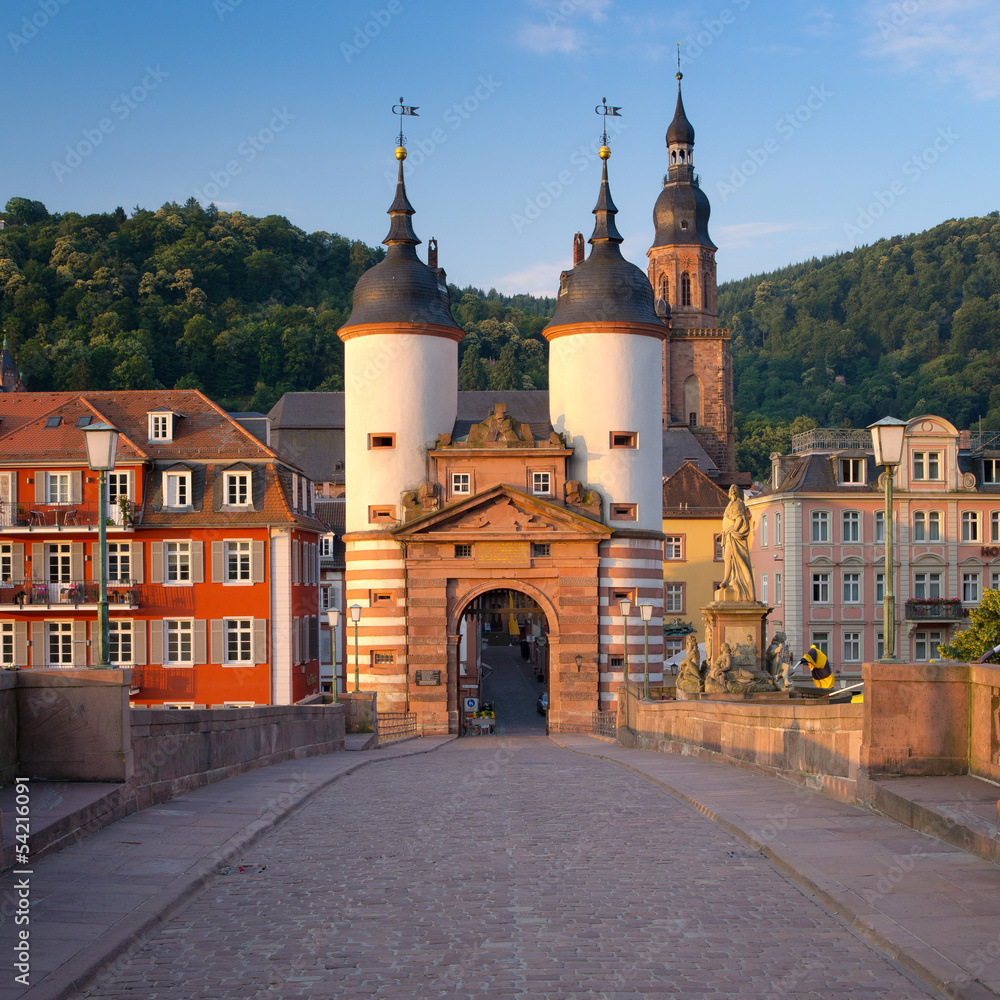 Fototapeta premium Karl-Theodor-Brücke in Heidelberg