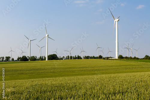 Several wind engines behind wheat field and wood