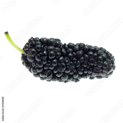 One black mulberry