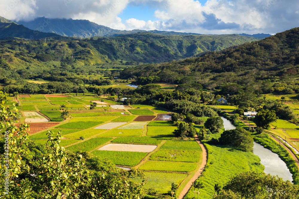 Hanalei Valley in Kauai