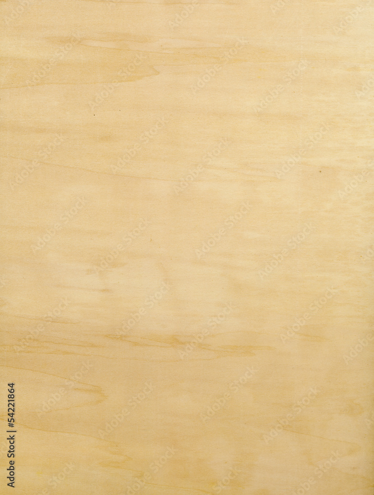 Fototapeta premium wood board