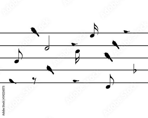bird music note