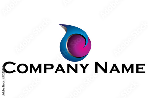 Company Name