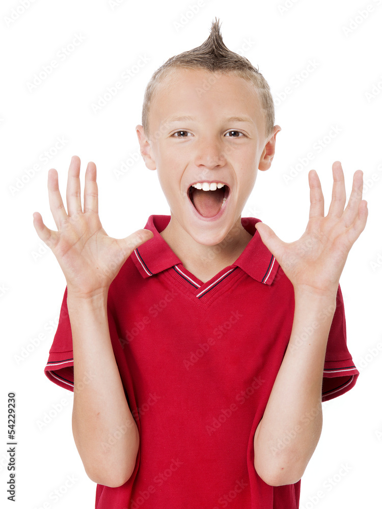 happy boy with hair crested happy boy with hair crested