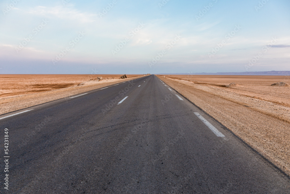 salt lake Chott el Djerid in desert in Tunisia