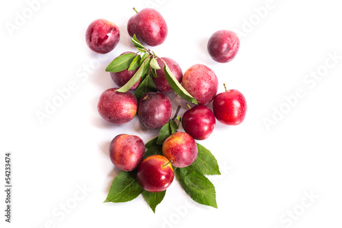 fresh ripe plum