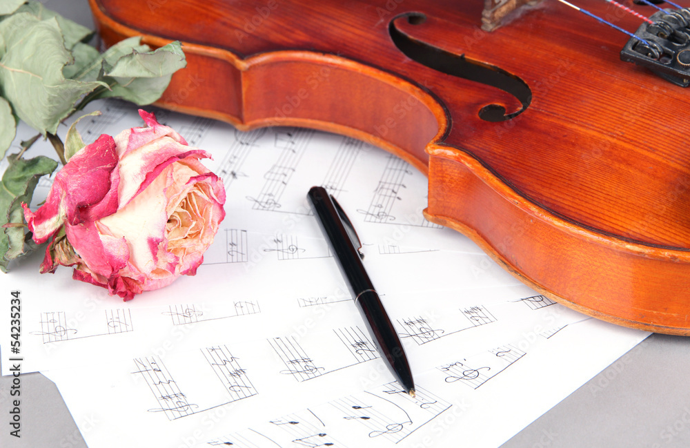 Fototapeta premium Classical violin on notes