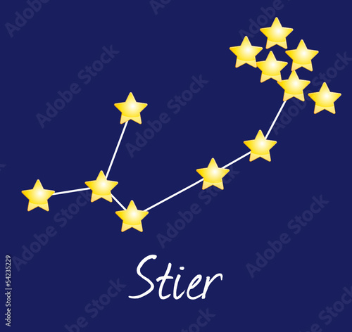 Stier