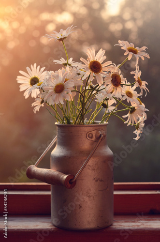 Fototapeta Naklejka Na Ścianę i Meble -  Daisy on windowsill
