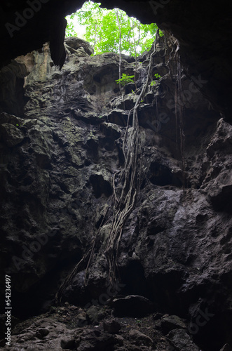 Dark entrance to natural caves