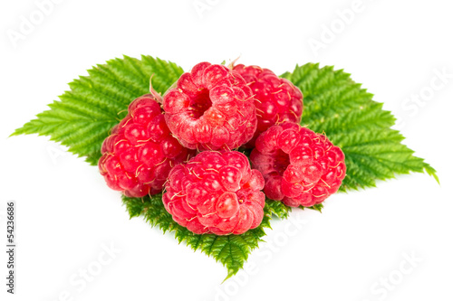 Raspberries on green leaves