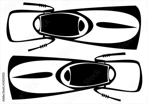 flippers on white background