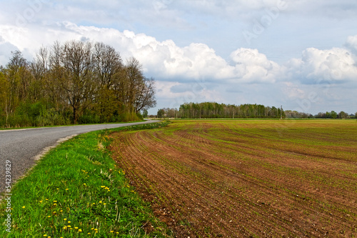 Country landscape.