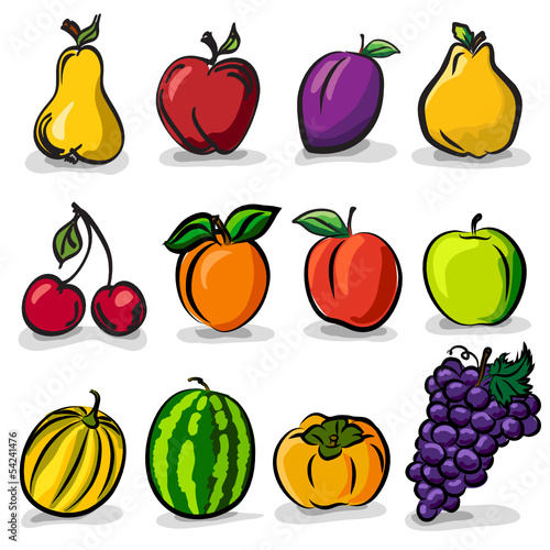 Temperate fruits sketch drawing vector set