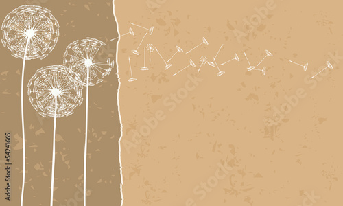 Illustration of beautiful dandelions