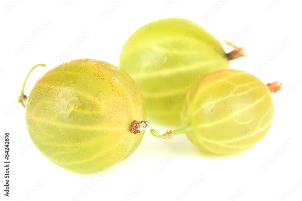 Fresh gooseberries isolated on white Fresh gooseberries isolated on white