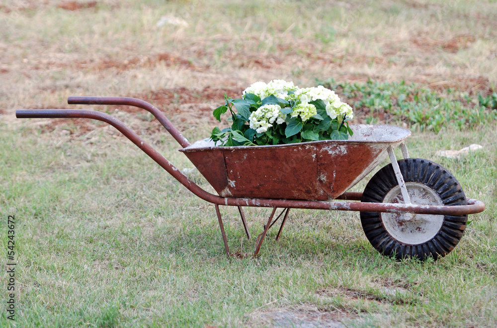 Flower wheelbarrow