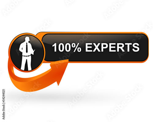 100 pour 100 experts sur bouton web design orange