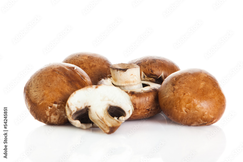 Fototapeta premium mushroom isolated on white background.