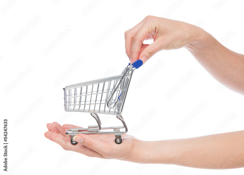 Fototapeta premium Hands hold empty shopping cart for sale