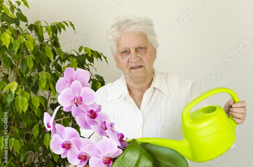 Seniorin über 80 gießt Zimmerpflanzen